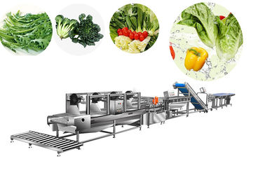 Auto Salad Production Line Washing Cleaning Frozen Vegetable Bubble Washer