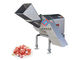 600 kg/h Meat Processing Machine Automatic Frozen Meat Cube Cutting Machine