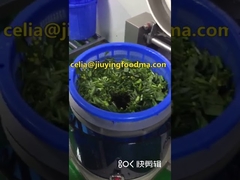 Vegetables Production Line