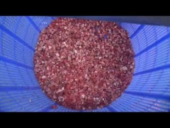 Frozen meat cube cutting machinery line automatic