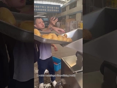 12 ایستگاه برش دستگاه برش چیپس سیب زمینی سانتریفیوژ با نتایج عالی