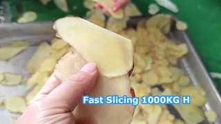 دستگاه برش گریز از مرکز 1000KG/H