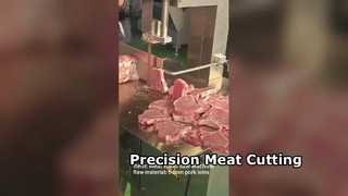 اره باند قصابی JY310 برش دقیق گوشت